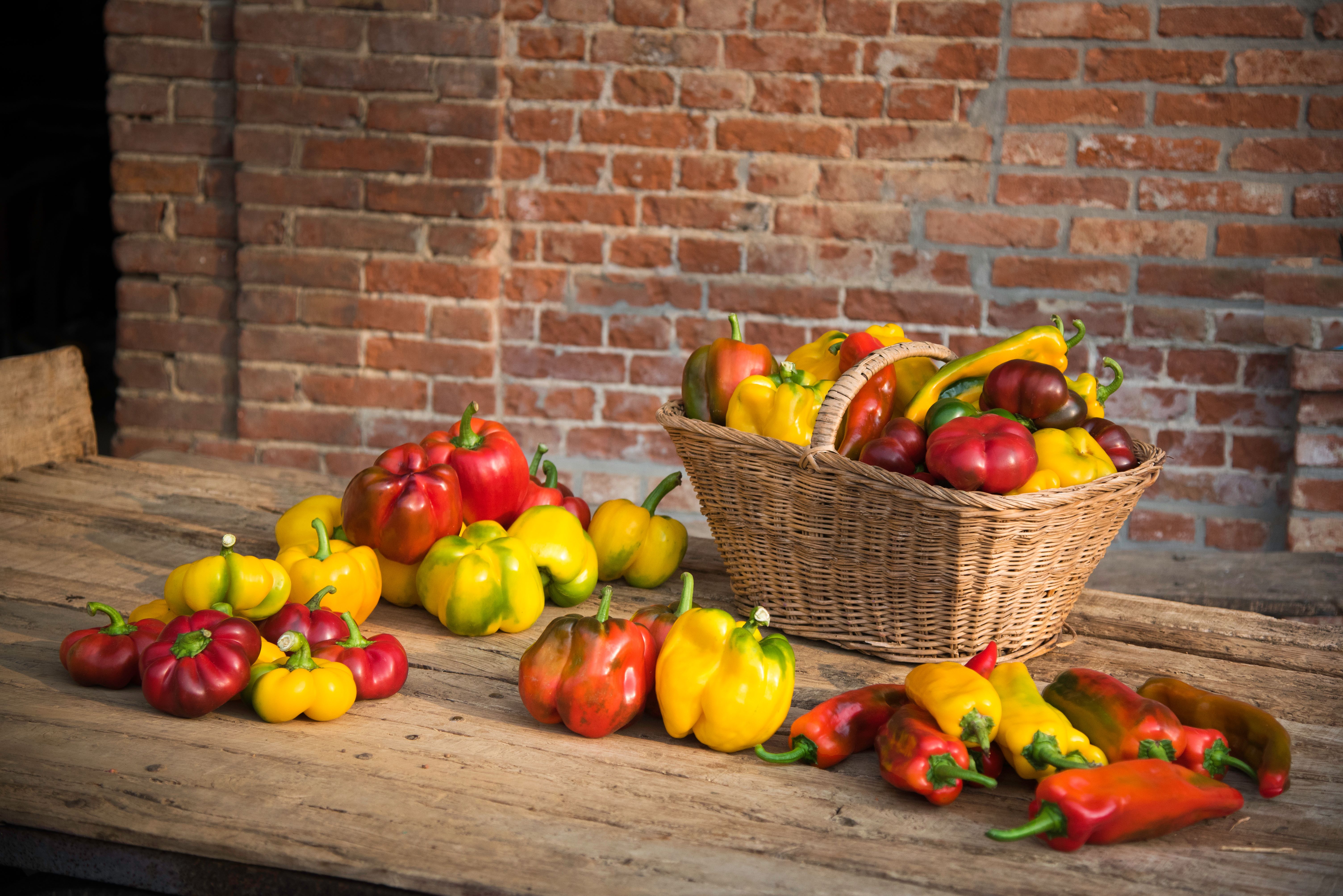 Carmagnola sweet peppers