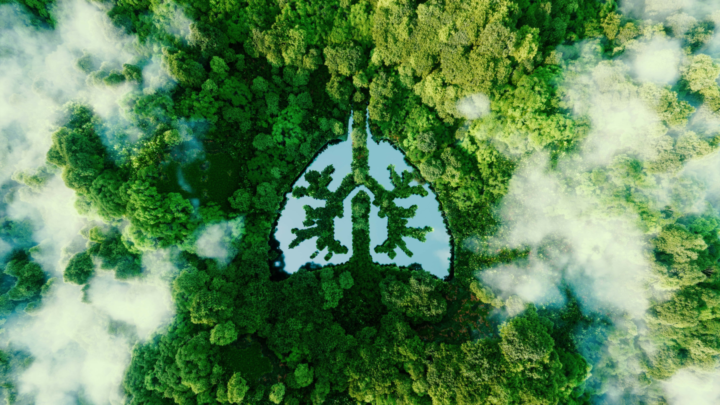 Sustainability