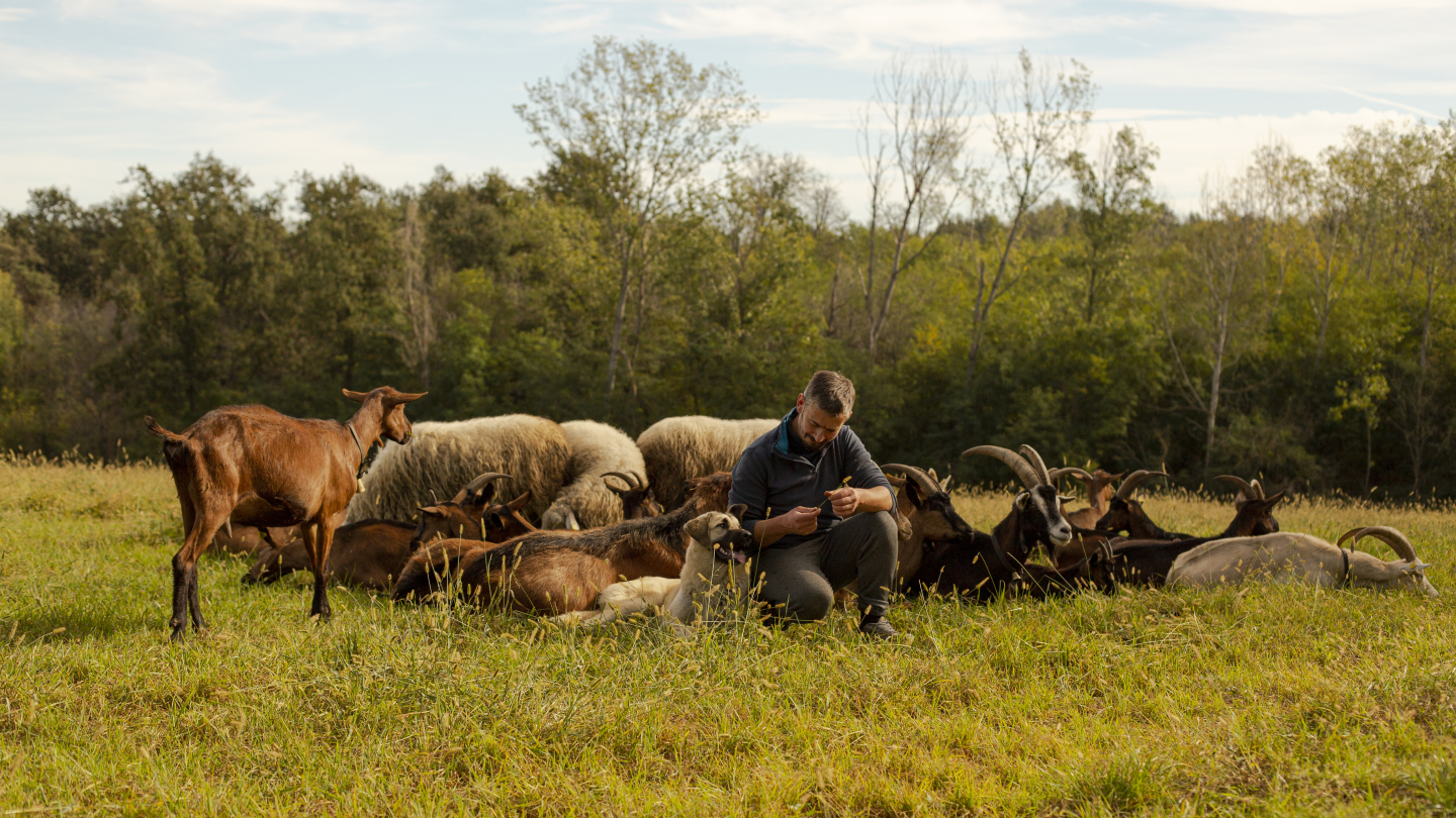 The Pertusio Brothers Roero's best artisanal cheesemakers