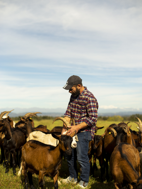 The Pertusio Brothers Roero's best artisanal cheesemakers